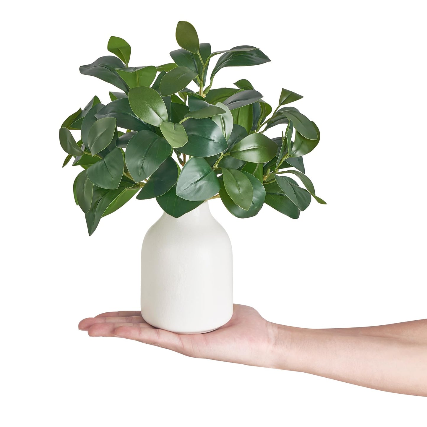 Dahey Fake Plants in Small Ceramic Vase Realistic Artificial Faux Plants Indoor Modern Farmhouse Table Centerpieces for Bathroom Kitchen Shelf Living Room Home Greenery Decor, White