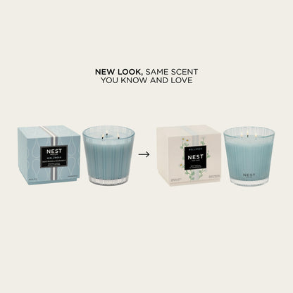 NEST New York Scented 3-Wick Candle, Driftwood & Chamomile - 21.2 oz, Pack of 2 - Up to 100-Hour Burn Time - Reusable Glass Vessel