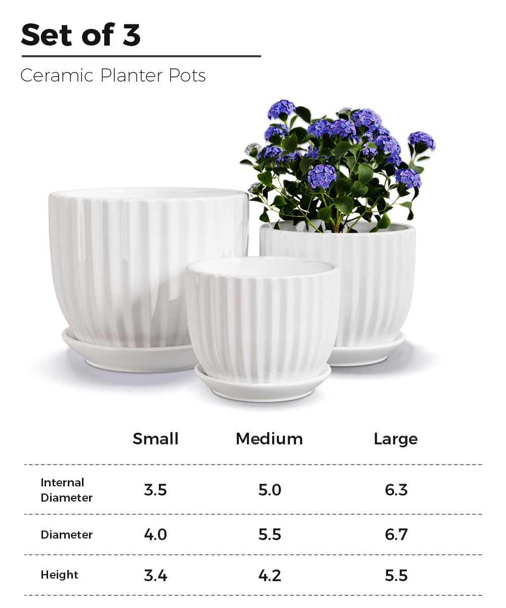 Ton Sin White Plant Pots Set of 3,Indoor Ceramic Flower Pot with Saucers,6.7"&5.5"&3.9" Inch Small to Medium Sized Planters for Plants,Round Modern Garden Pots