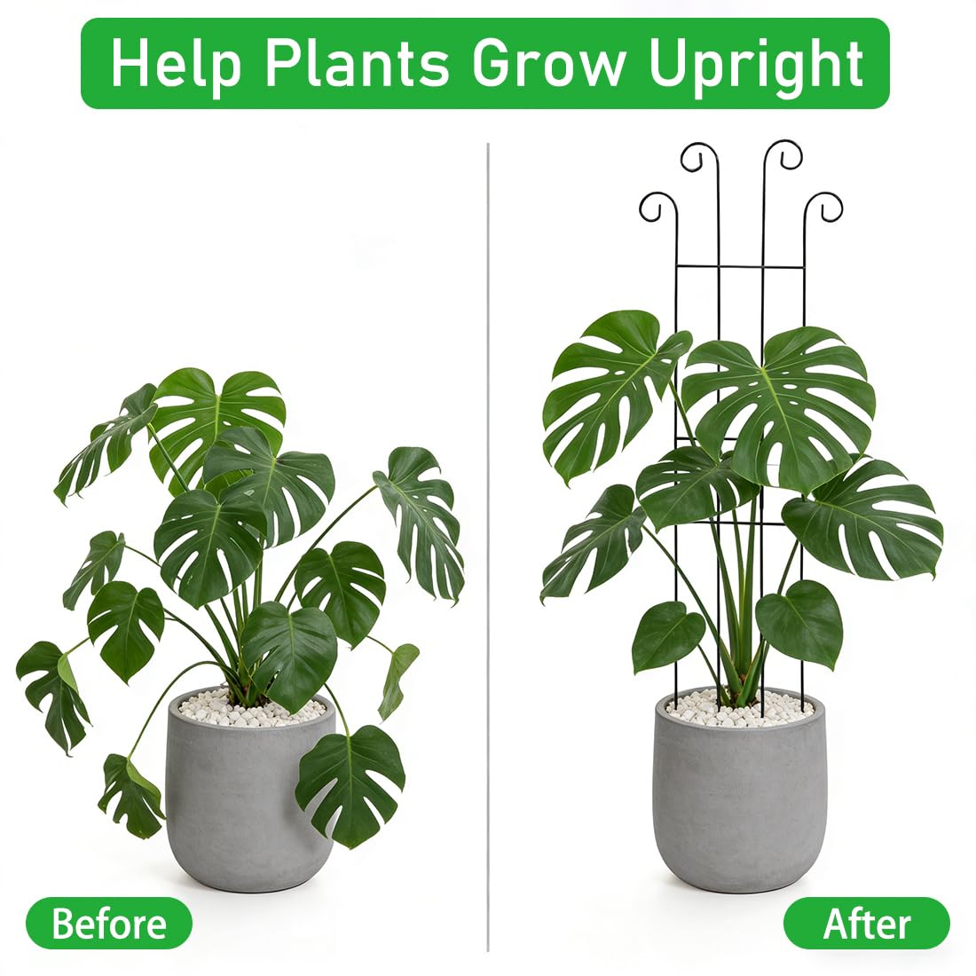 32.6inch Plant Trellis for Pot Climbing Plants Indoors & Outdoor, Garden Trellis for Potted Plants, Rust-Proof Metal Sturdy Yet Gentle Climbing Stakes Support for Ivy Pothos Hoya Monstera (6pcs)