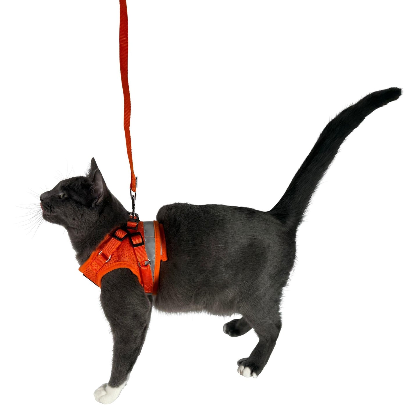 Travel Cat Harness and Leash Set - Adjustable Fit Mesh Cat Harness and Reflective Strap - Comfort Walking Vest for Kitten for Outdoor Walking, Hiking (Medium, Orange)