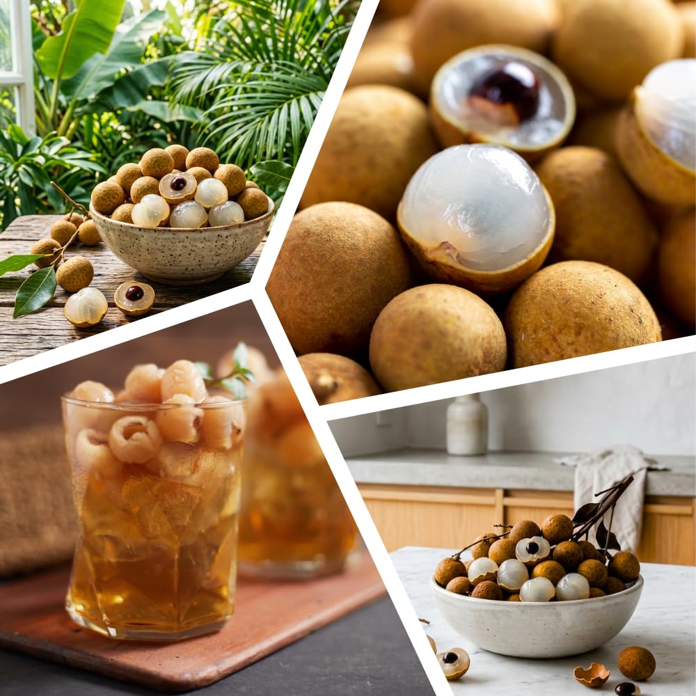 Sweet Longan Tree Live Plant, Longan Fruit Tree, Well Rooted, 3 Gallon Pot, 2-3 Feet Tall, Tropical Fruit Tree for Backyard and Garden, No Ship to CA