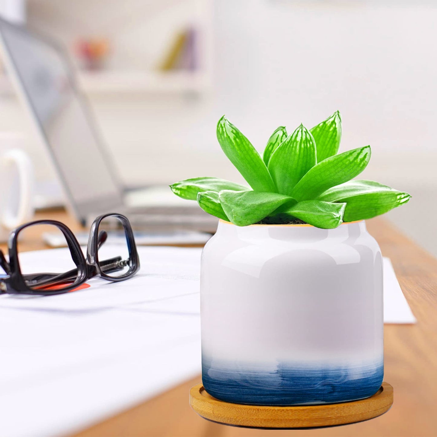 Succulent Pots, 3.5 Inch Small Succulent Planters with Drainage for Plants Live, Hand-Painted Ceramic Pot Flower Pots Bonsai Pots with Bamboo Tray, Unique Gifts for Women/Men, 4 Pack (Abstract)