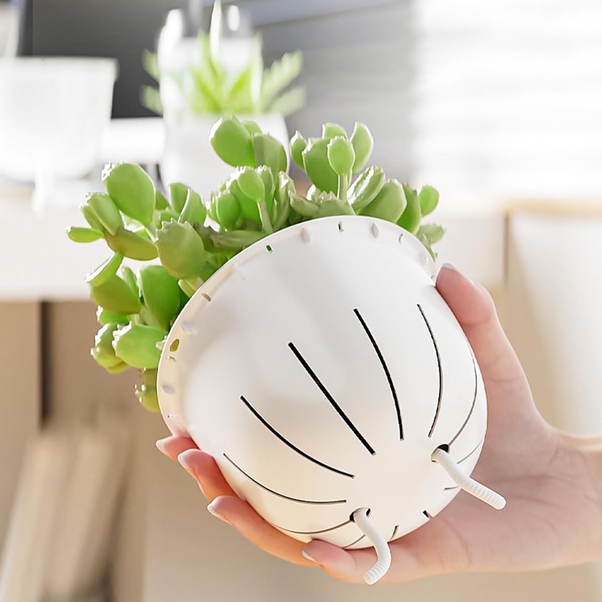XKYQSY 2 Pack 6 inch Self Watering Pots Planters for Indoor Plants, African Violets Pots with Wick Rope, Modern Plastic Nursery Pots for All House Plants,Flowers Succulents,Herbs,Cactus,Orchids