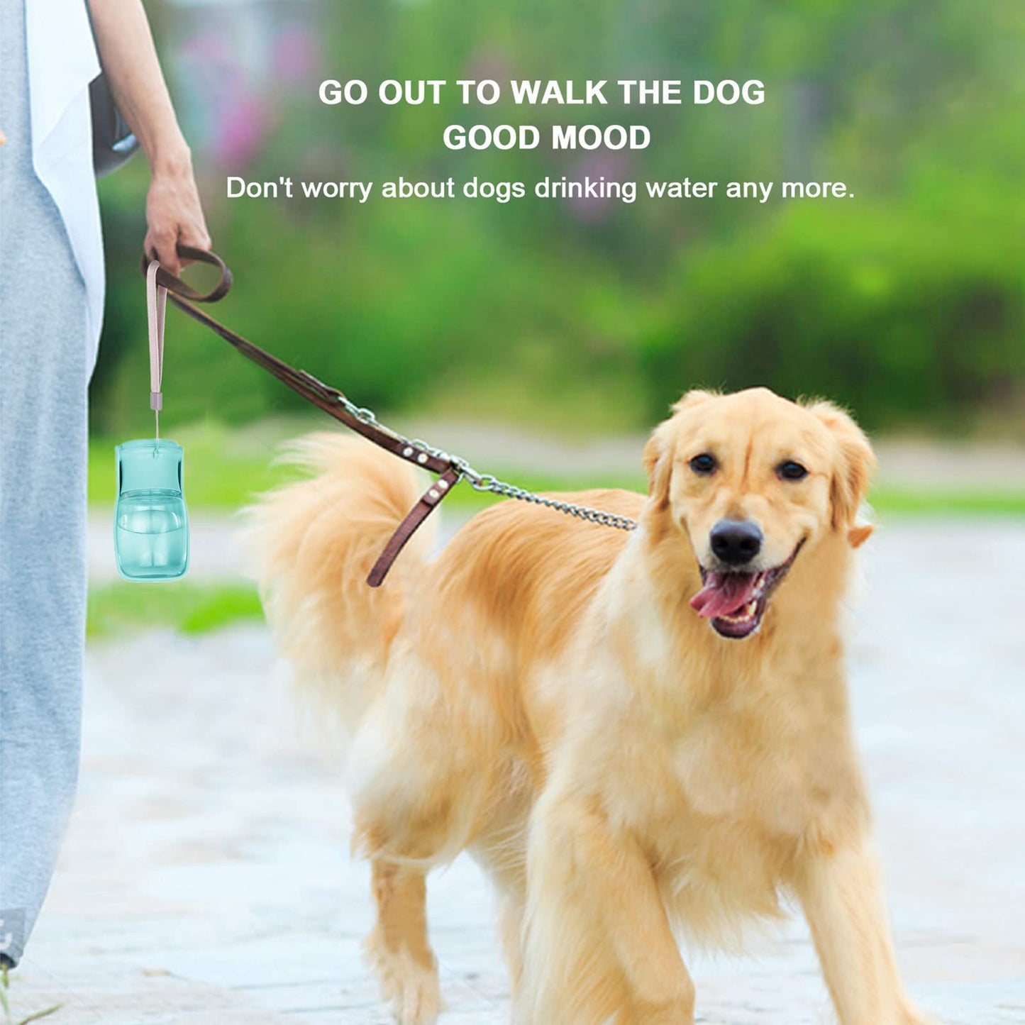 Canareen Portable Dog Water Bottle with Foldable Cup, Leak Proof Travel Water Bottle for Dogs & Cats, Foldable Dog Drinking Bottles for Walking, Hiking, Outdoor Activities (350ml, Green)