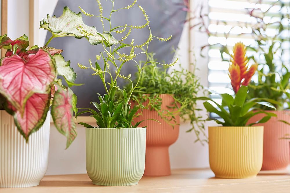 elho Vibes Fold Round 18 - Flower Pot from 100% Recycled Plastic - Indoor plant pot - Ø 18.4 x H 16.8 cm - Green/Sorbet Green