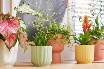 elho Vibes Fold Round 18 - Flower Pot from 100% Recycled Plastic - Indoor plant pot - Ø 18.4 x H 16.8 cm - Green/Sorbet Green