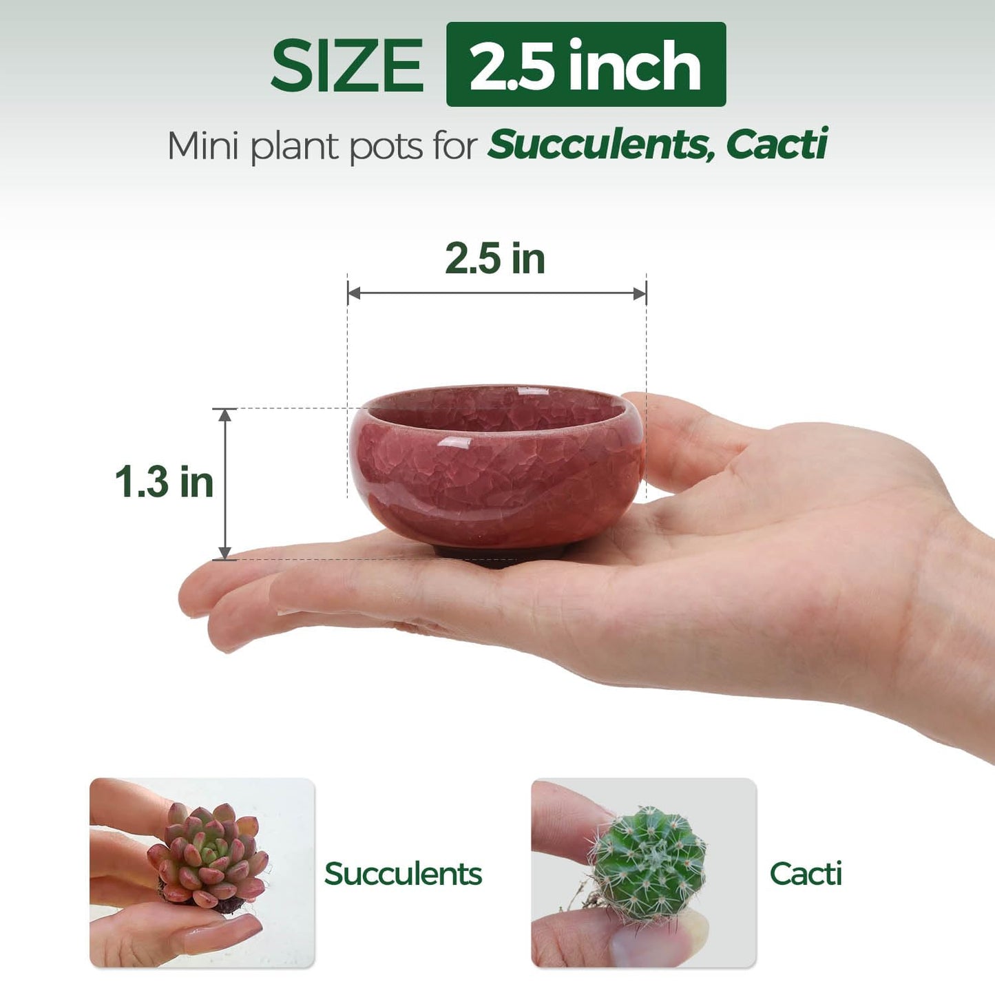 T4U 2.5 Inch Small Ceramic Succulent Planter Pot with Drainage Hole Set of 12, Ice Crack Glaze Plant Container for Cactus, Plant Lover Gifts for Women Mom Aunt Home Office Decor