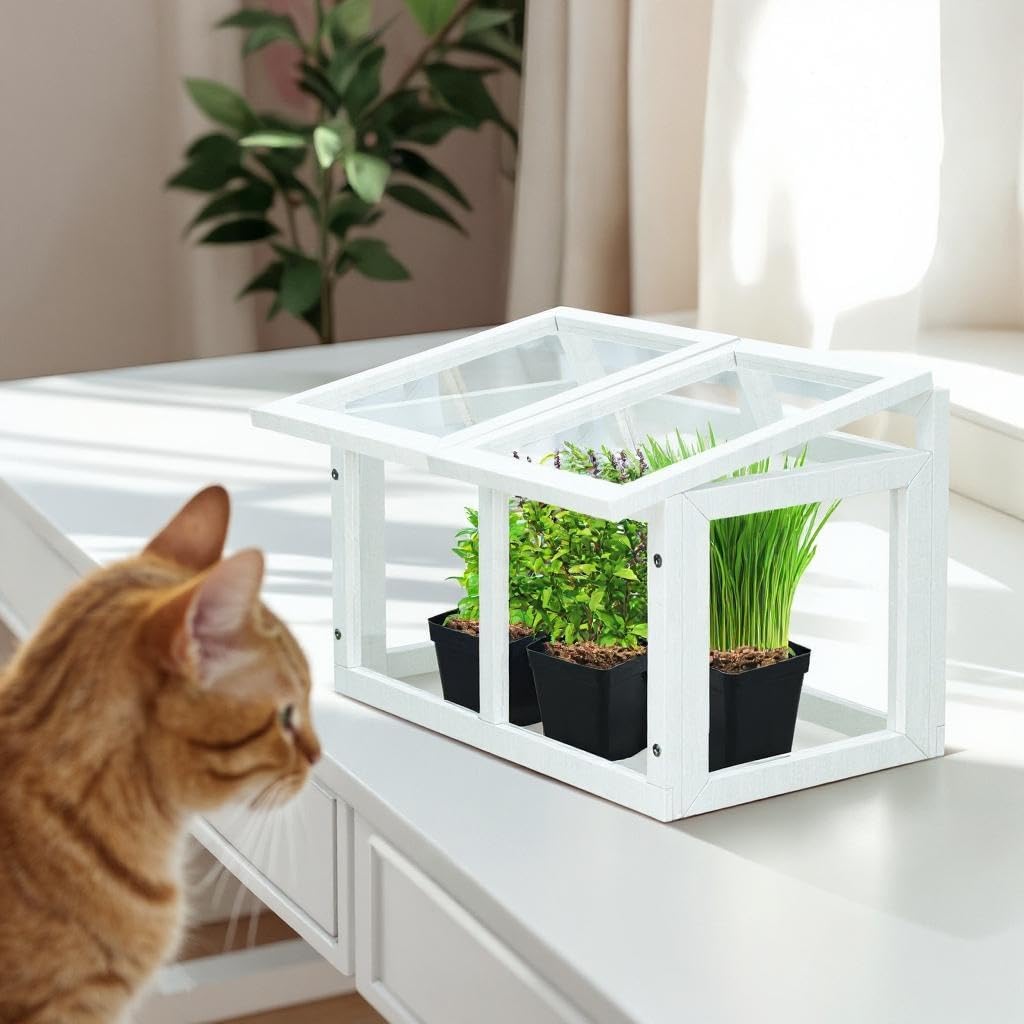 Mini Tabletop Greenhouse 12"x8" – Compact Indoor Plant House with Clear Acrylic Panels & Wood Frame with 4" Pots for Herbs, Seedlings, Cuttings & Propagation - Cat Safe