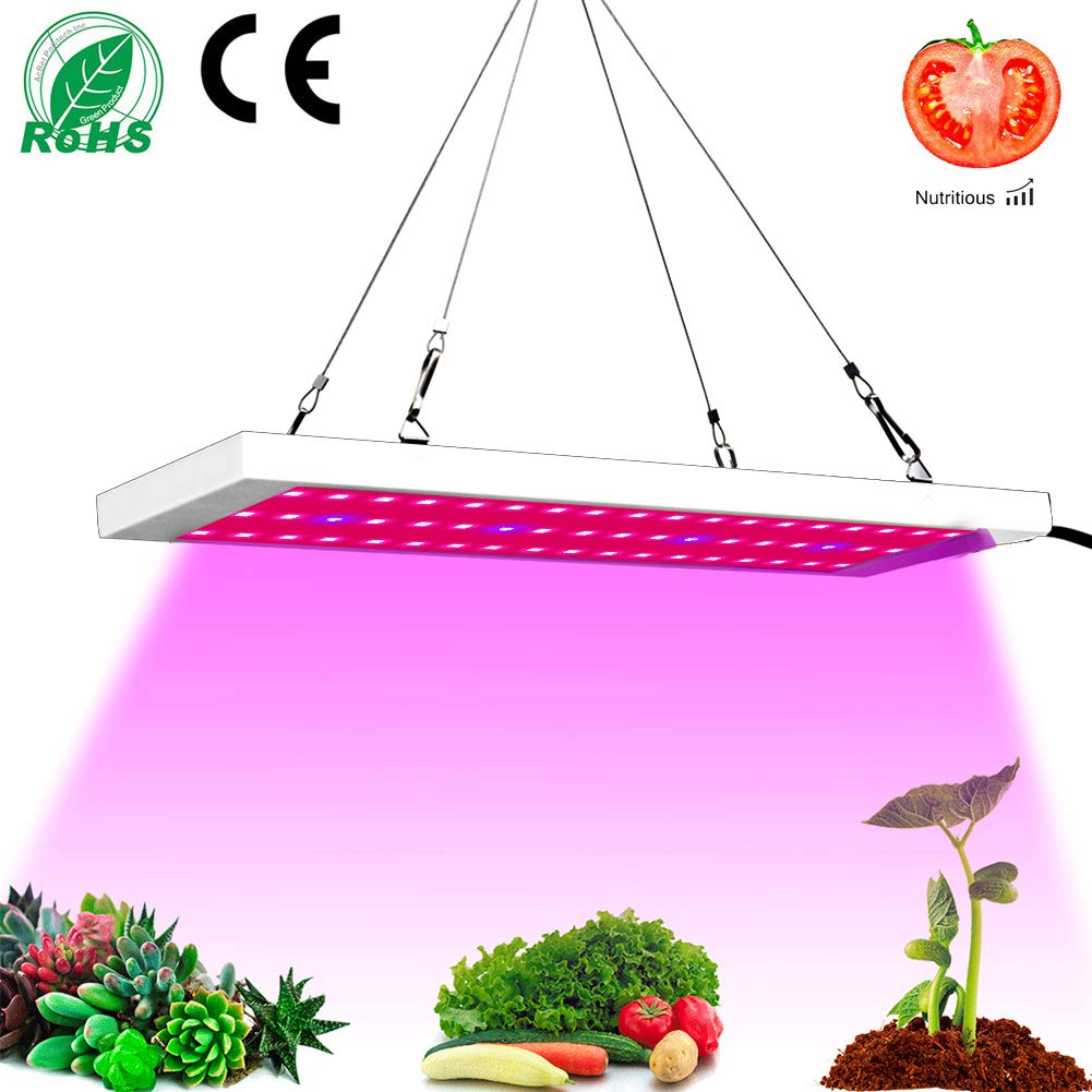 CASTNOO 300W 54 LED Grow Lights, Full Spectrum Little Solid Grow Lamp with IR & UV LED Plant Lights for Indoor (Space-Saving) Plants,Micro Greens,Clones,Succulents,Seedlings