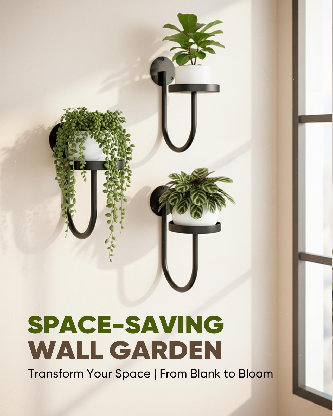 chufa Wall Plant Holder – Hanging Planters for Indoor, Window Planter Shelves & Hanger, Indoor Wall Planters, Modern Plant Decor, Black (3 Pack)
