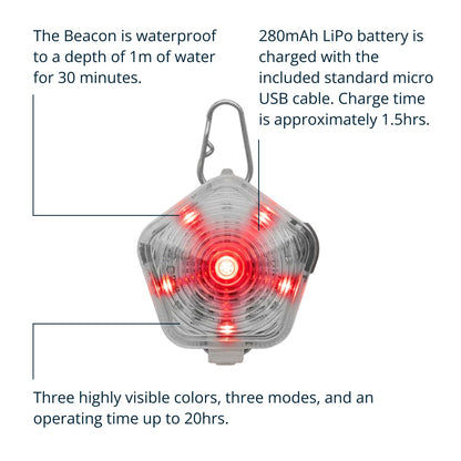 RUFFWEAR The Beacon Dog Safety Light, Waterproof Dog Collar Light, LED Pet Dog Collar Buckle Night Light, Safety Clip On Flashing Dog Light for Dog Leads & Harnesses, Rechargeable Dog Light, Clear