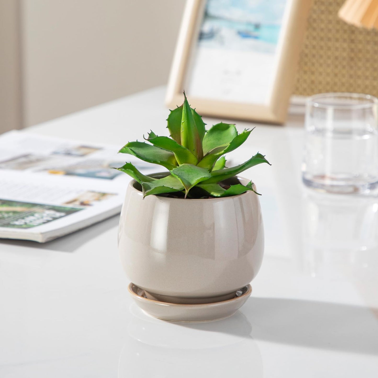 vancasso 3-Pack Ceramic Plant Pots, 3.7/4.8/6.2 Inch Indoor Planters with Saucers & Drainage Hole Planter pots for Indoor Plants and Flower, Gray