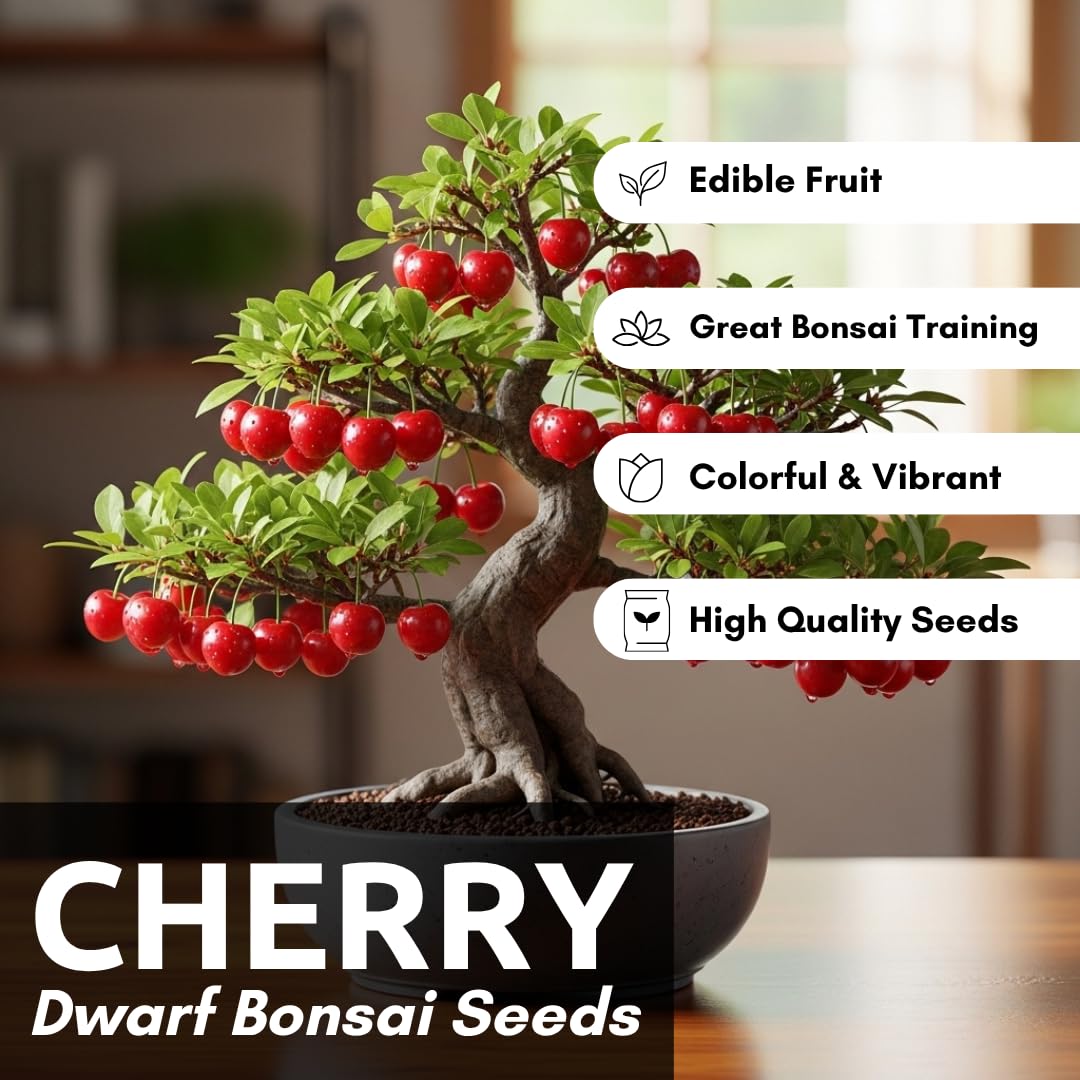 20 Bonsai Dwarf Cherry Tree Seeds | Indoor or Outdoor Fruit Tree | Made in USA, Ships from Iowa