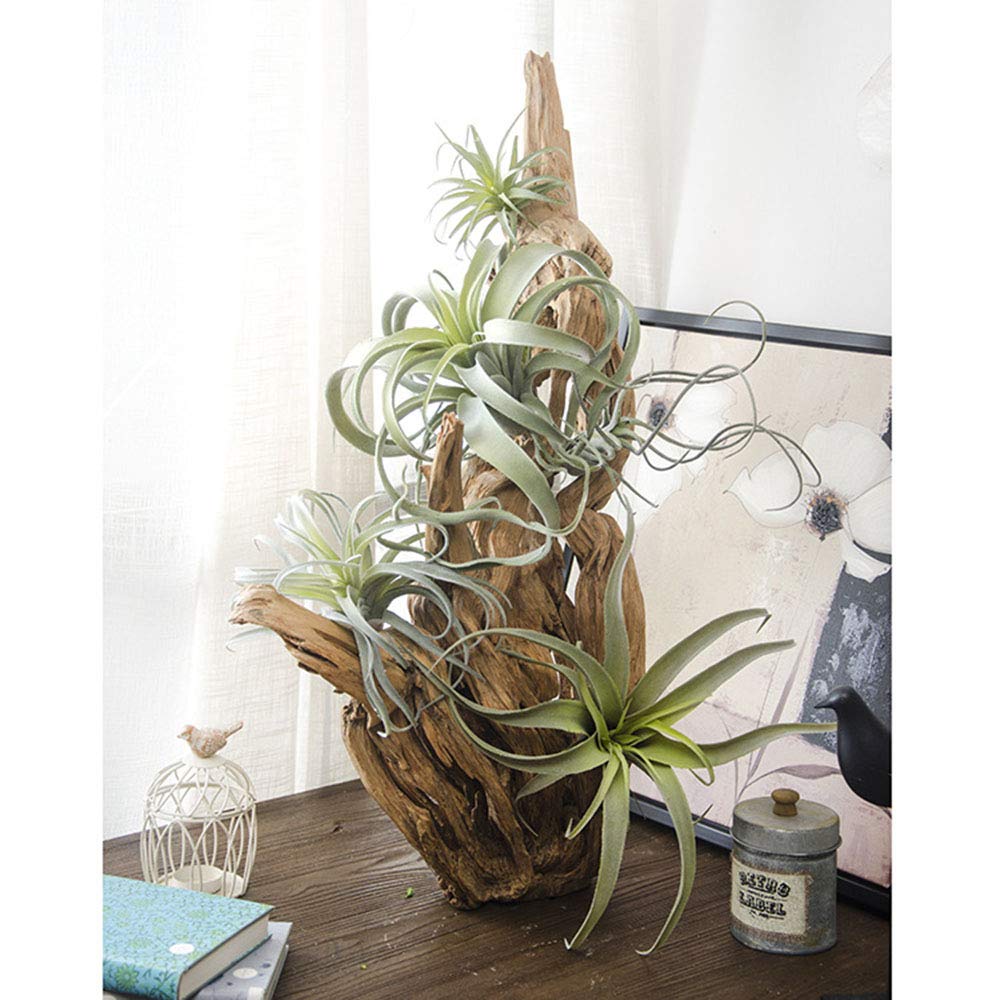ChezMax Artificial Flocking Tillandsia Air Plants Pineapple Grass Faux Succulents Bromeliads Home Garden Decor 2Pcs 4#