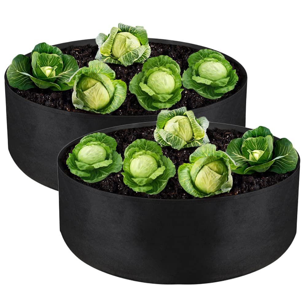 IWNTWY 2-Pack 15 Gallon Grow Bag, Heavy Duty Thickened Fabric Pots Round Raised Garden Bed Planter for Planting Herb Flower Vegetable Potato Plants (24" D × 8" H)