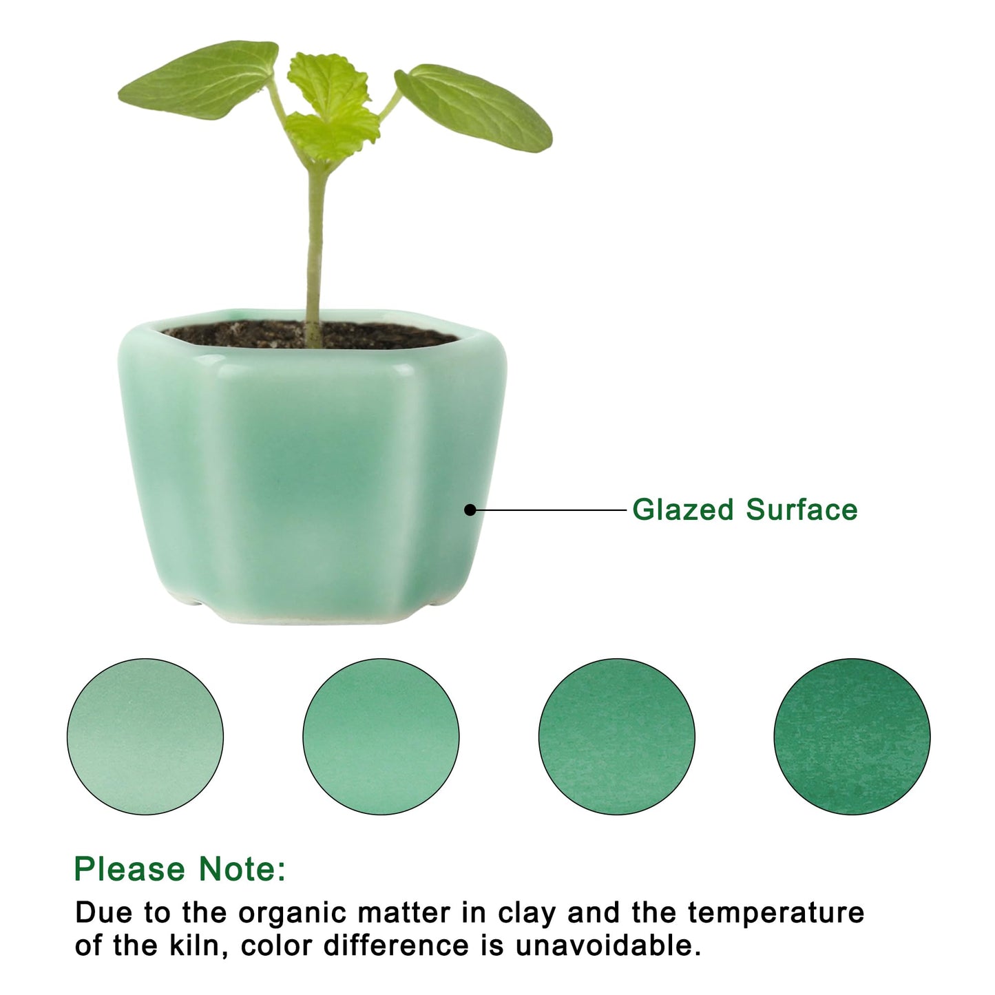 Bonsai Planter 1.8 inch (4.5cm) Mini Succulent Glazed Pots Set of 6 Green
