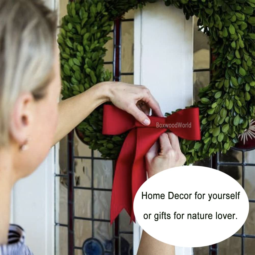 Boxwood Wreath 10" Mini Country Manor Wreath with Silk Ribbon Green Decor for Home, Farmhouse - All Seasons Wreath Christmas Wreath