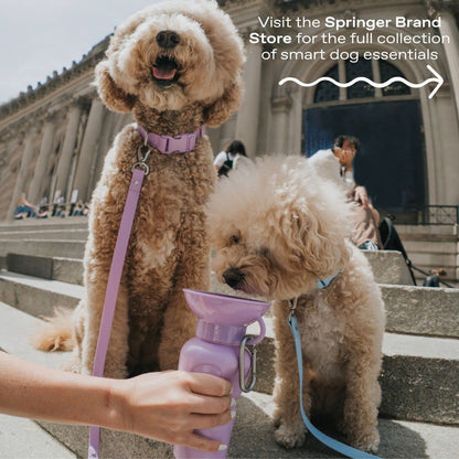 Springer Dog Water Bottle | Portable Travel Water Bottle Dispenser for Dogs | Dog Gift Seen on Oprah's Favorite Things, Shark Tank | Leak-Proof Bottles Fill Bowl with Water | BPA-Free 15oz Sky Blue