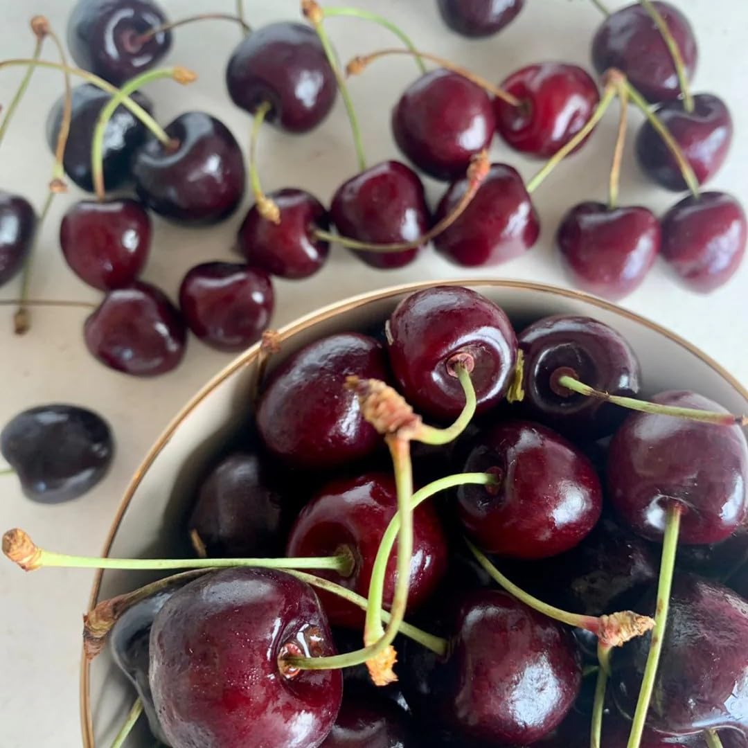 40 Pcs Black Cherry Tree Seeds, Fruit Tree Seeds for Planting, Prunus Serotina Dwarf Cherry Tree with Edible Black Cherries Non-GMO Fruit Seeds for Planting