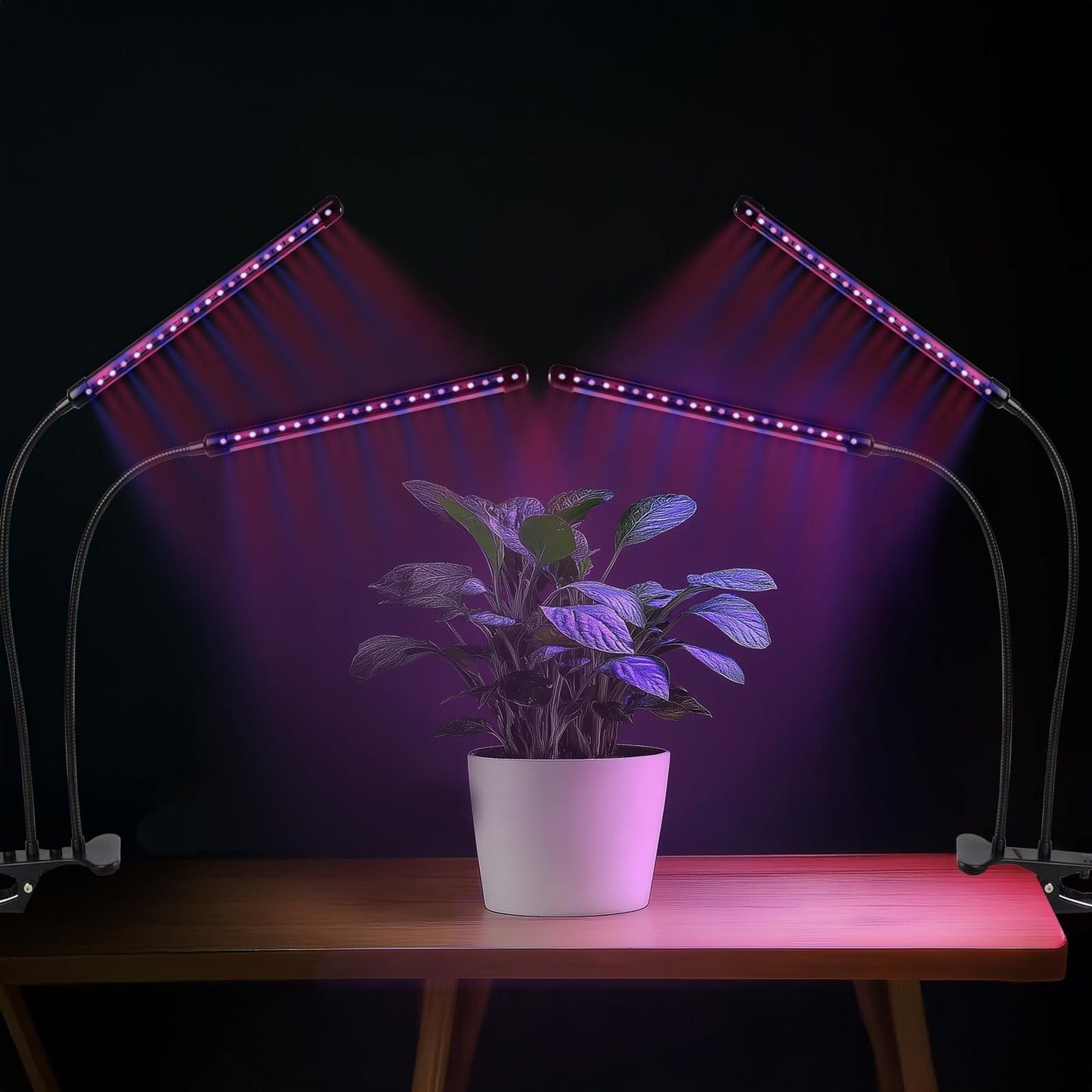 Grow Lights for Indoor Plants - Red & Blue Spectrum LED Plant Light with Auto 3/9/12H Timer, 10 Dimmable Levels & Sturdy Gooseneck - Ideal for Herbs, Succulents, Houseplants in Home/Office