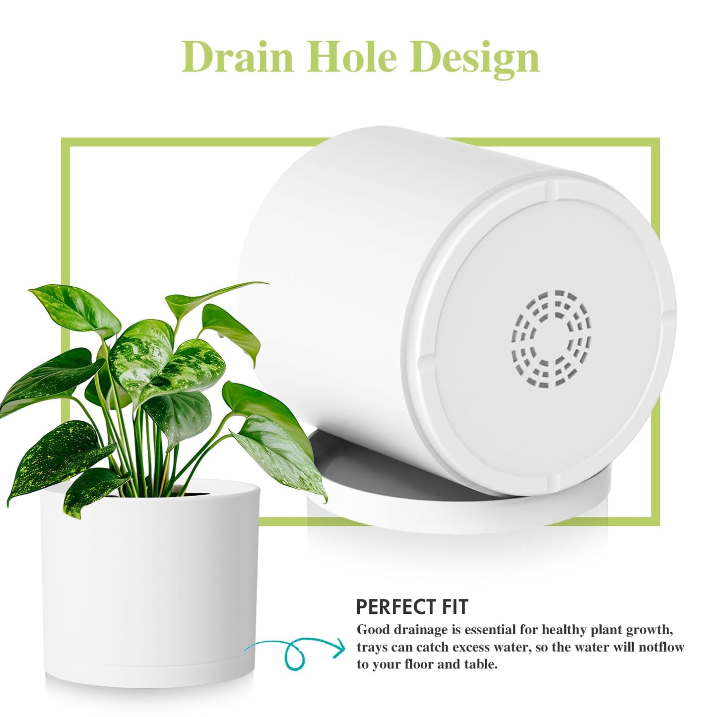 DGJDLWHX Large Plant Pots Set of 3 – 8", 9", 10" Indoor Flower Pots with Drainage Holes and Saucers, Big Planters for Monstera, Fiddle Leaf Fig, Snake Plant – 5 Colors