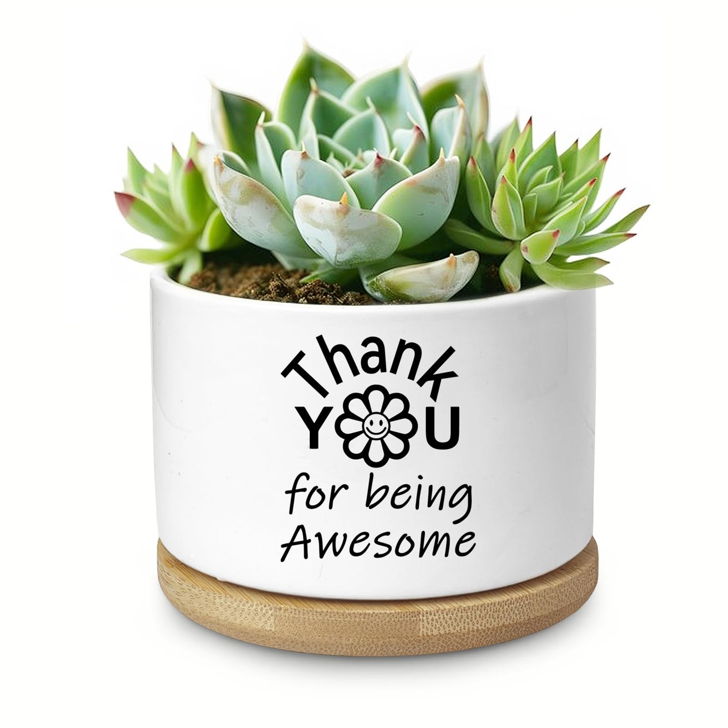 Aryabtya Thank You Gifts for Women, Succulent Planter, Flower Cactus Plant Pot, Employee Appreciation Gifts for Coworkers Nurse Friends Women, Thank You for Being Awesome (No Plants)
