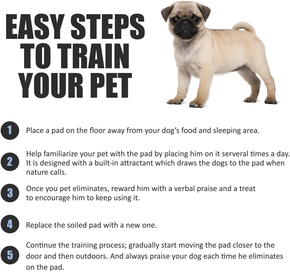 Bargain Factory - Pet Potty Training Pads Pack of 100 for Dogs Puppy Pads - 5 Layers Super-Absorbent Waterproof - 56 x 56 cm - Disposable Puppy Pee Pads