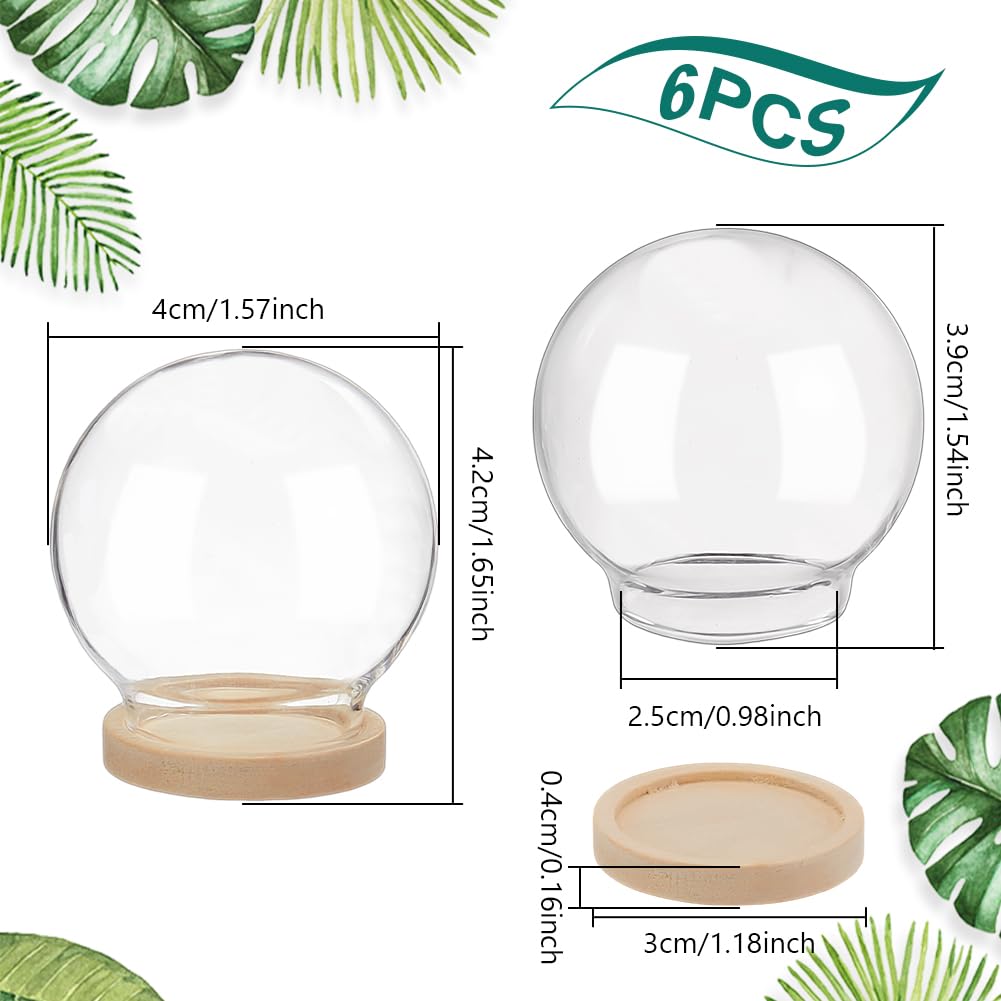 NBEADS 6 Pcs Mini Round Glass Dome, Clear Glass Display Dome Cover with Wood Base Cloche Bell Jar for Centerpieces Plants Rocks Specimens Decorations Crafts, Diameter: 1.57 inch BurlyWood