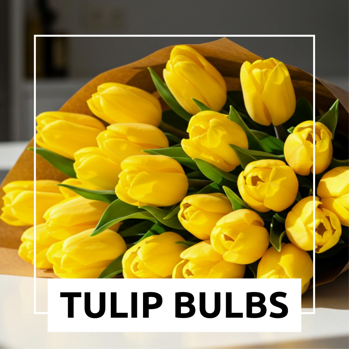 Yellow Tulip Bulb for Planting - Stunning Pure Yellow, Vibrant and Bright (10 Bulbs) - Perfect for Garden Beds, Borders, Containers, and Mass Plantings