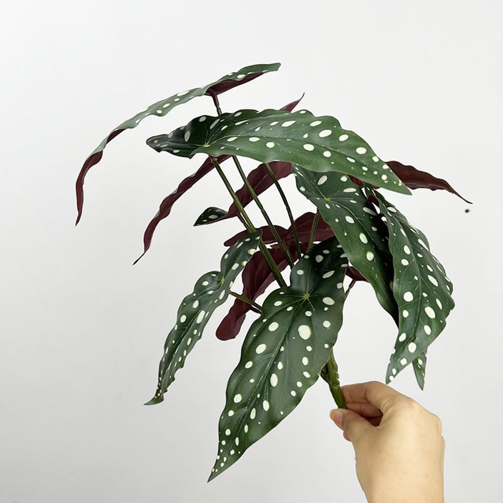 Shirfloral 2Pcs Begonia Maculata Artificial Plant 11.8In Fake Trout Begonia Faux Polka Dot Greenery Plant for Office Desk Indoor Outdoor Home Planter Decor