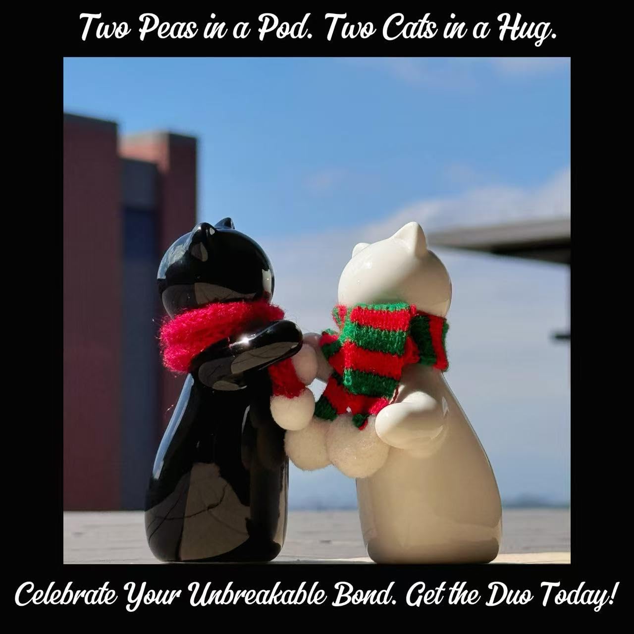 Holitika Cat Salt and Pepper Shakers, Cute Hugging Cat Couple Set, White & Black Set, Easy to Refill & Dispense (Seasoning & Spice) - Perfect for Gift, S1