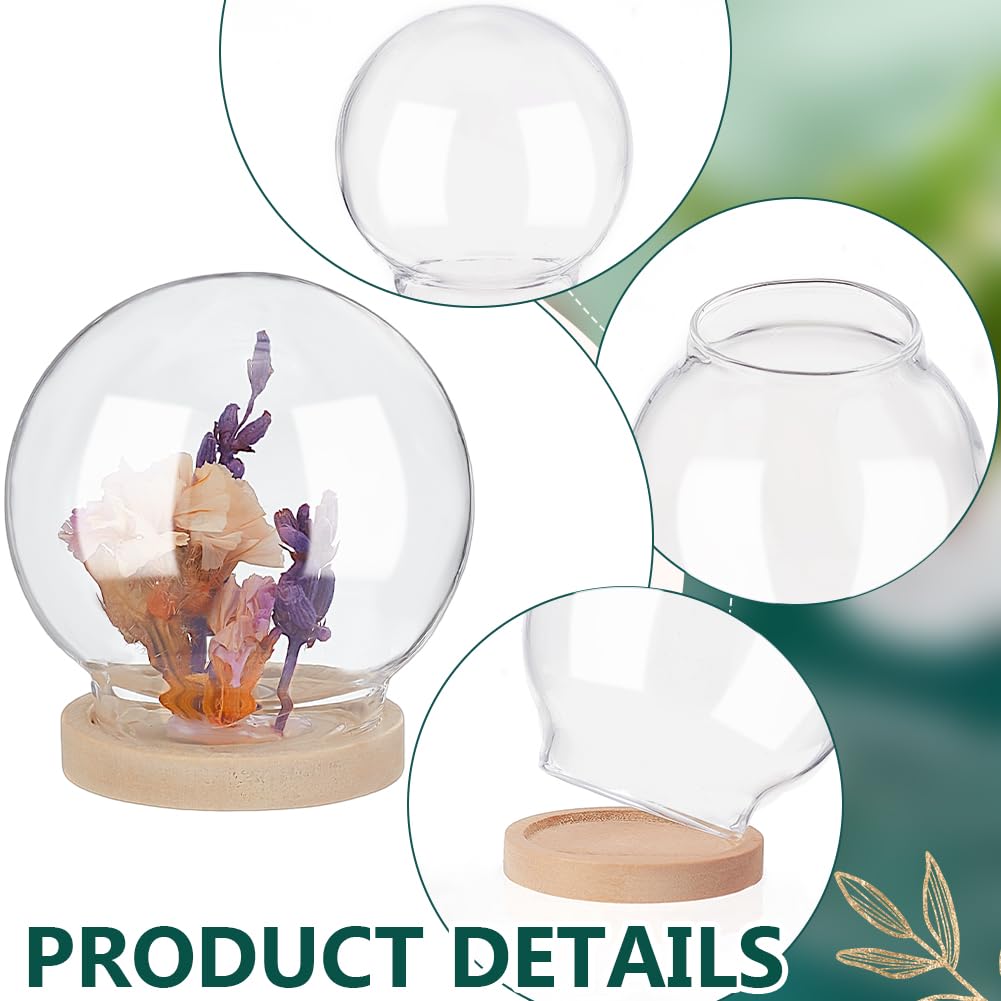 NBEADS 6 Pcs Mini Round Glass Dome, Clear Glass Display Dome Cover with Wood Base Cloche Bell Jar for Centerpieces Plants Rocks Specimens Decorations Crafts, Diameter: 1.57 inch BurlyWood