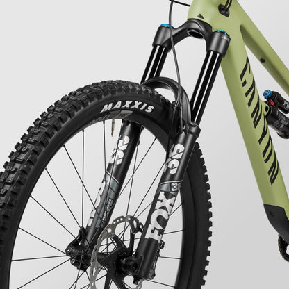 Canyon Spectral 29 CF 8, Big Bamboo, Extra Large