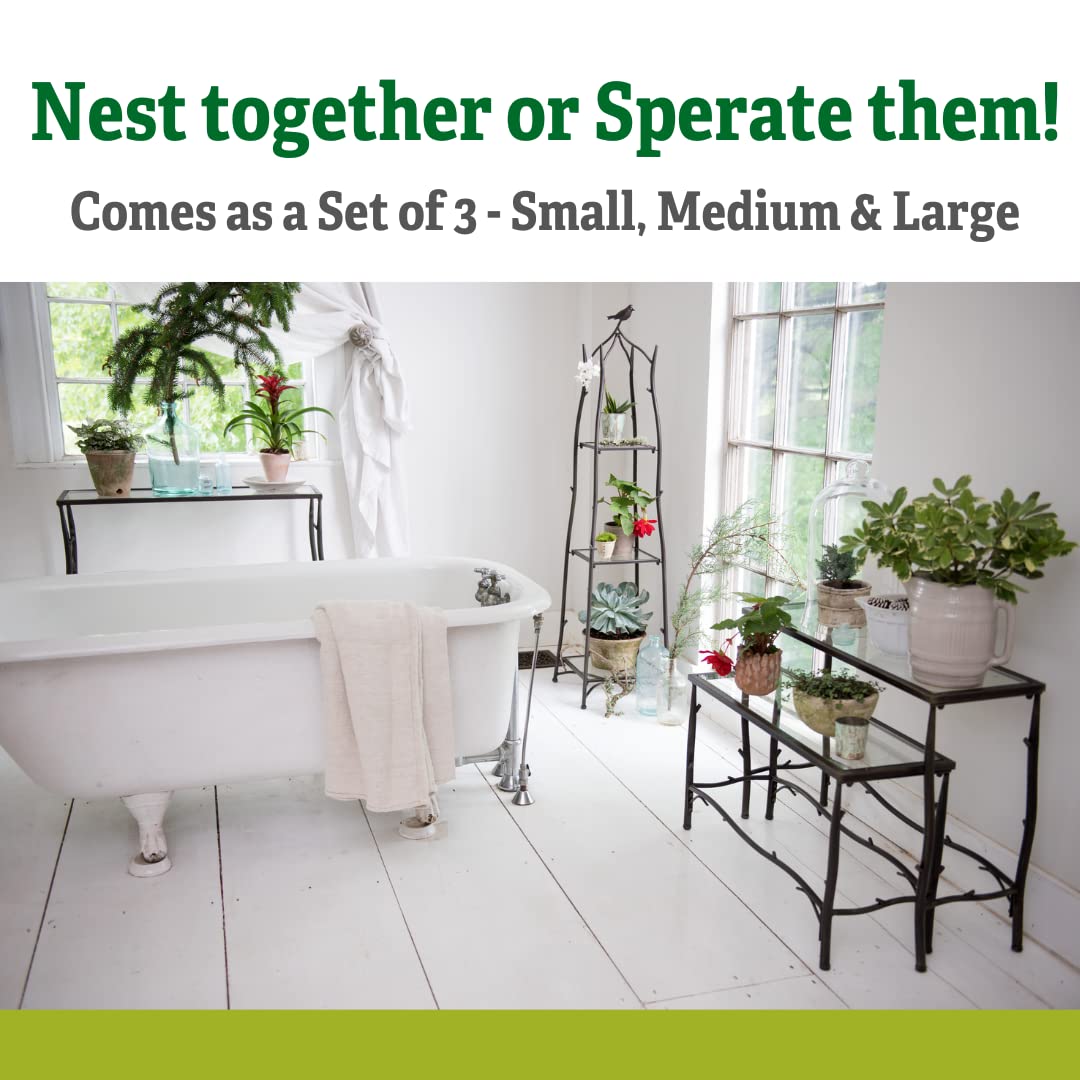 Gardener's Supply Company 3 Tier Plant Stand | Decorative Metal & Tempered Glass Ladder Shelf | Best For Living Room, Patio & Balcony