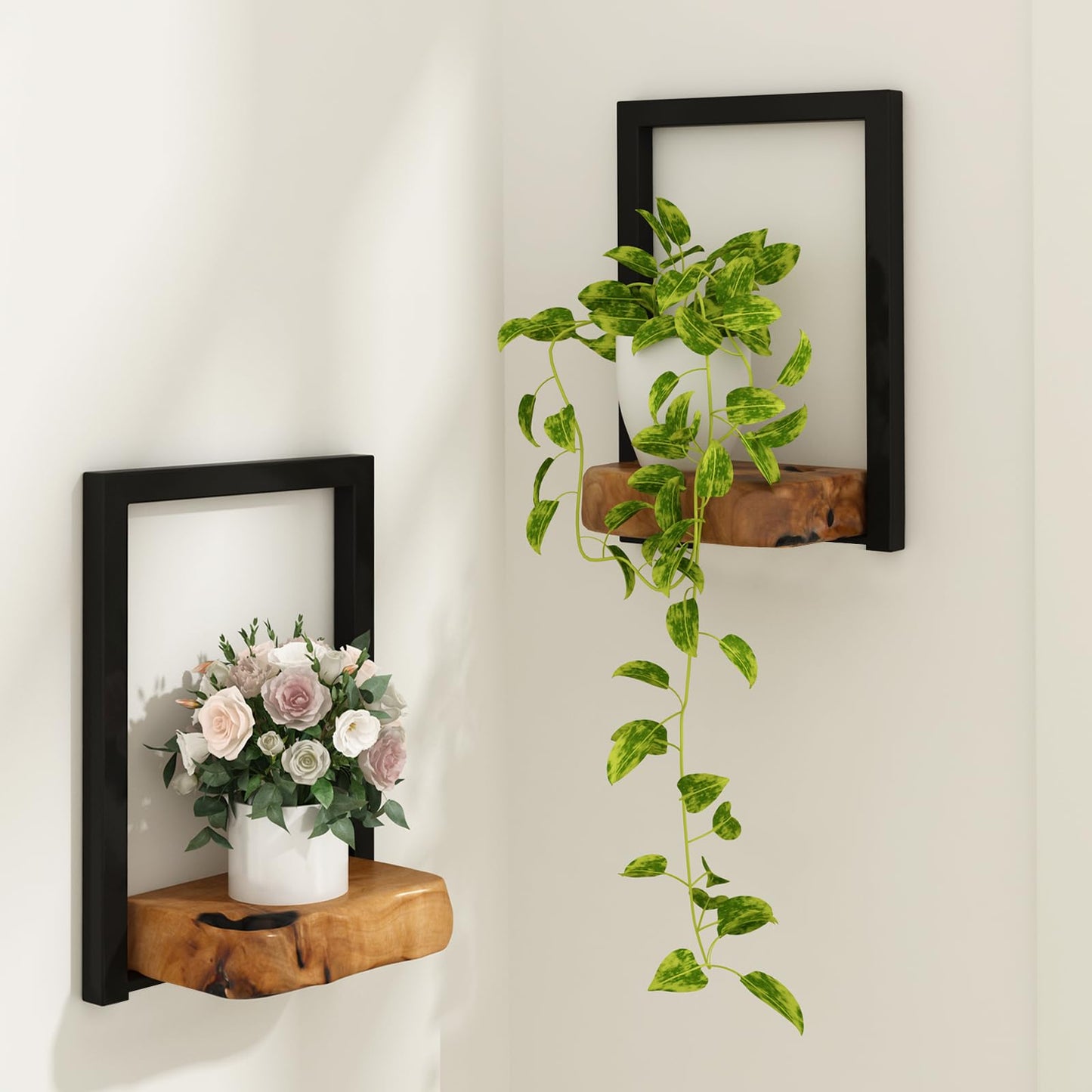 JOLLYMER Natural Edge Cedar Wood 2 Pack Wall Plant Holders, Window Planters Shelves, Indoor Plants Stands, Wall Decor Planter Hanging Shelf,12x9x5 inches