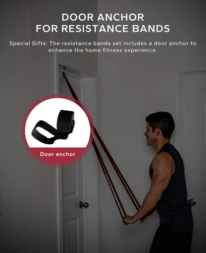HAPBEAR Pull Up Assistance Bands Set of 5 - Resistance Bands for Working Out, Stretching, Physical Therapy, Muscle Training