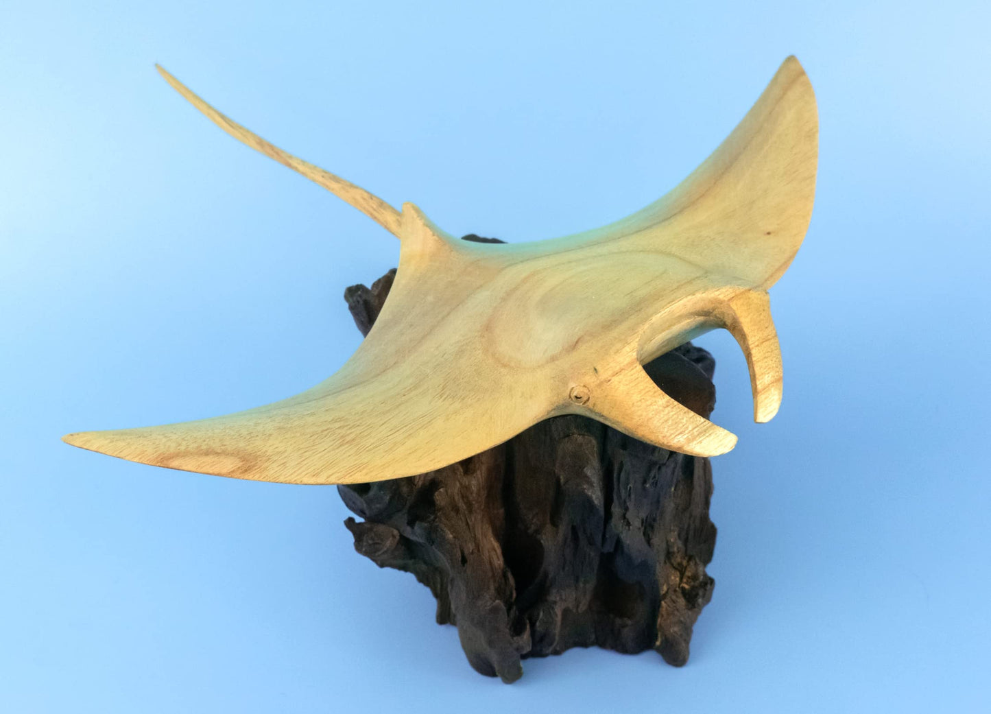 G6 Collection 10" Handmade Wooden Stingray on Coral Figurine, Hand-Carved Ocean Fish Decor, Coastal Marine Sculpture, Nautical Beach House, Exotic Sea Life Carving, Unique Coral Reef Art (10" Long)