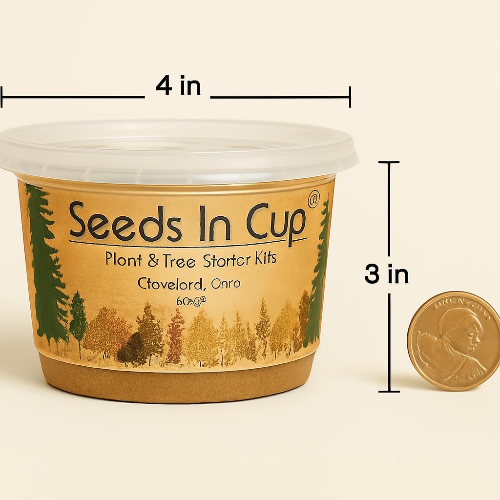 English Ivy Seed Starter Kit | Seeds In A Cup® | Hand Picked Ivy Seeds, Planter with Clear Lid | Gift for Mom, Dad, Kids & You! Made in USA