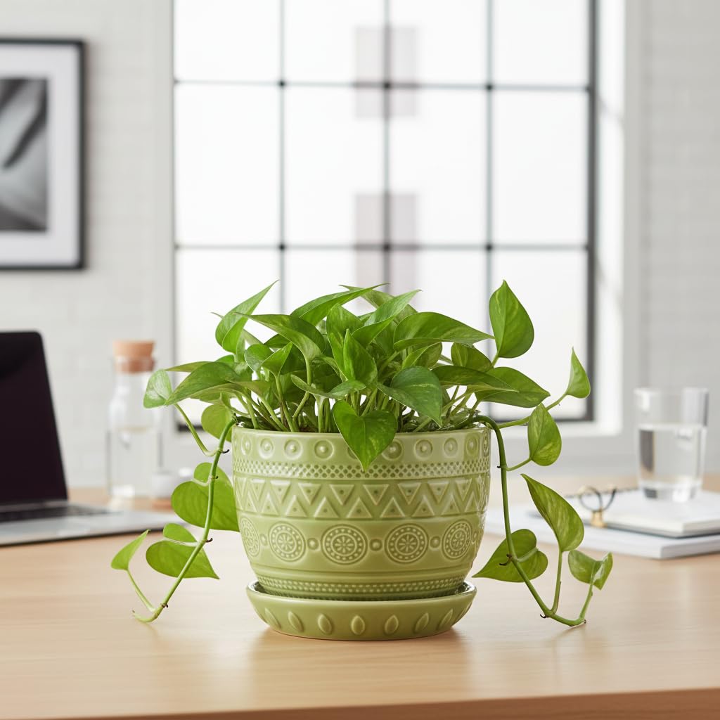 G EPGardening Indoor Plant Pot 5.5 Inch - Ceramic Planter with Drainage Hole and Saucer, Round Boho Plant Pot for Indoor Plants, Plant Lover Gifts, Home Garden Office Decor, Green