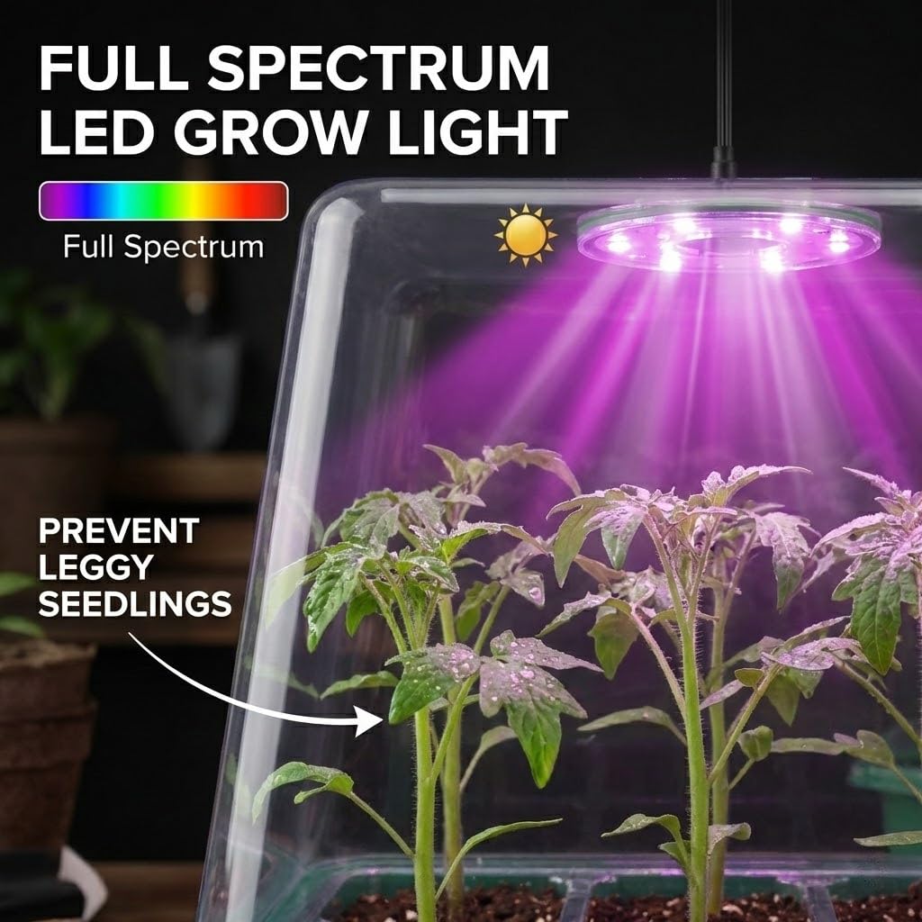 NACNO Seed Starter Kit with Grow Light, Elevated Seedling Tray Kit with Adjustable Humidity Dome and Clear Cell Tray, 12 Full Spectrum Led Beads for Seed Starting Greenhouse, 6 Pack, Green