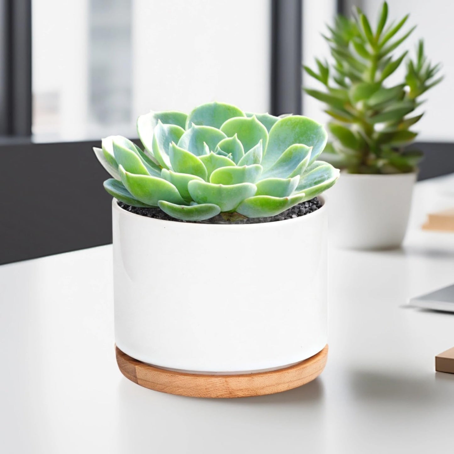 Set of 3 White Ceramic Pots for Succulents with Bamboo Trays for Home Decoration