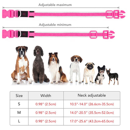 YFbrite Light up Dog Collar, Rechargeable LED Dog Collar, Flashing Dog Collar, Adjustable Reflective Dog Collar Safety Glowing at night (Pink, Medium)