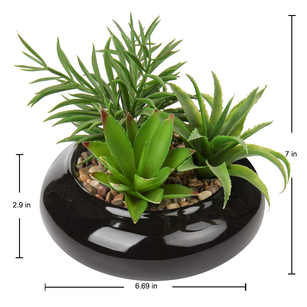 Hollyone Large Artificial Succulents Plants Faux Succulents in Pots Fake Succulent Potted Plants with Black Ceramic Pot for Home Decor Office Desk Bathroom Living Room Indoor & Outdoor Decorations
