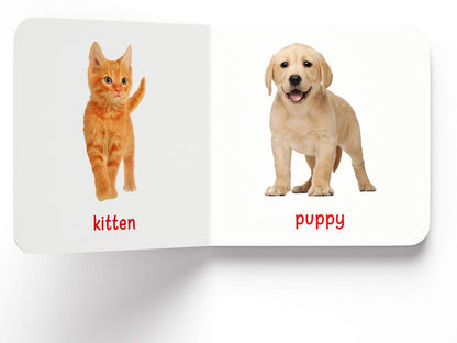 My First Book of Baby Animals