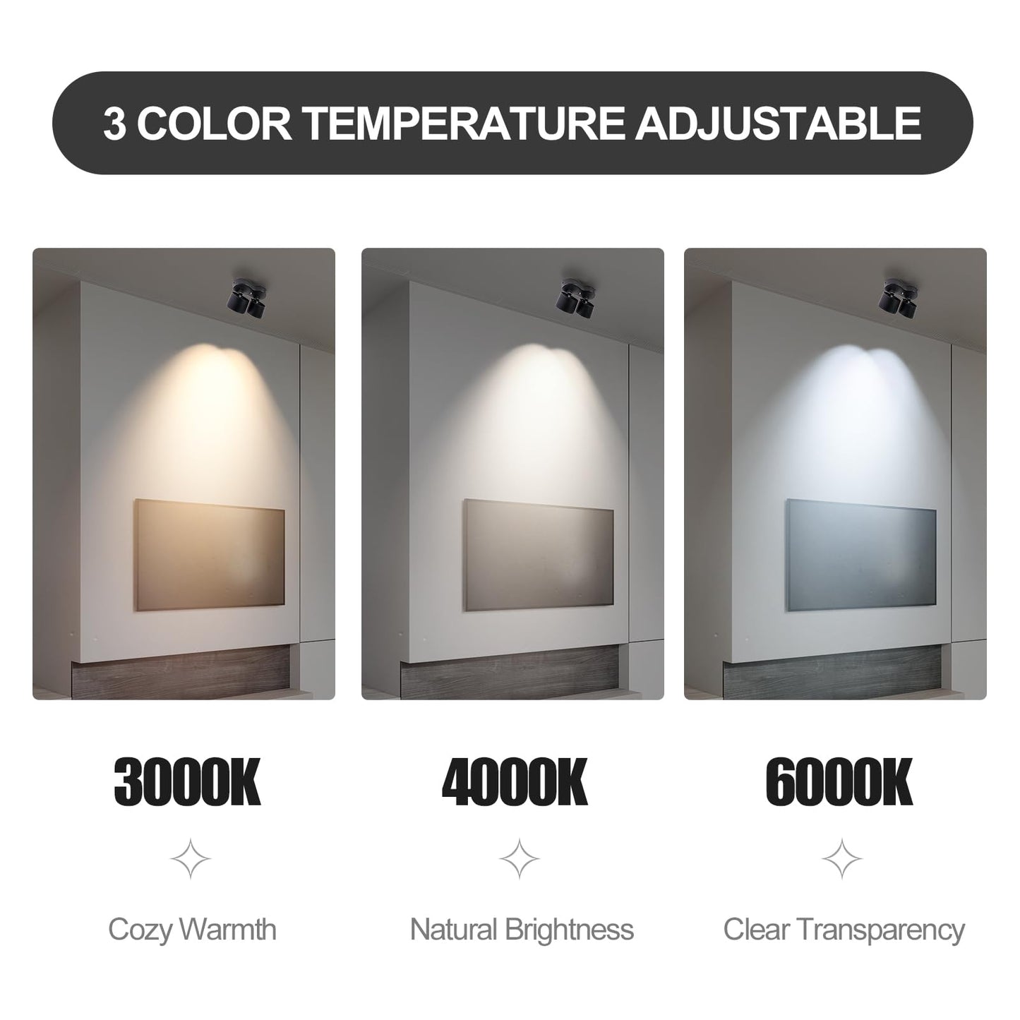 HITOO Ceiling spot Lights Indoor, Ceiling Accent Lights 3000-6000K Selectable, 20W Dual Head LED Spot Lights, CRI 98, 220° Directional, Black Ceiling Spotlight for Kitchen, Plant, Living Room