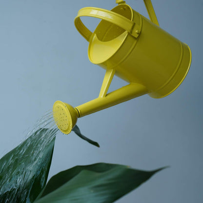 Topadorn Watering Can Metal Watering Pot with Handle and Rosehead Modern Style, 11.4”W x 4.72”D x 8.66”H, 55 Oz.,Yellow