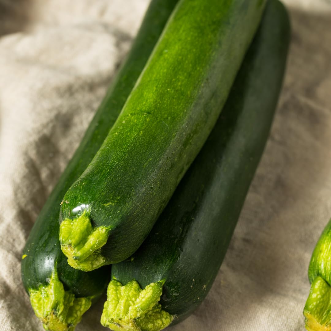 2 Green Squash Zucchini Plant Live, Squash Zucchini Plant, Vegetable Seedling, 3-5 Inches Tall for Outdoor Growing