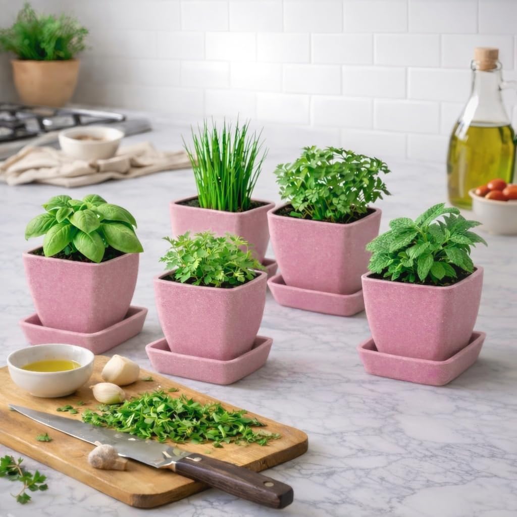 3.5 Inch Small Planter Pots with Drainage Holes and Saucers, Matte Square Indoor Plant Pots for Succulents and Herbs, Lightweight Modern Planters for Kitchen Herb Garden, Windowsill or Desk 5 Pack