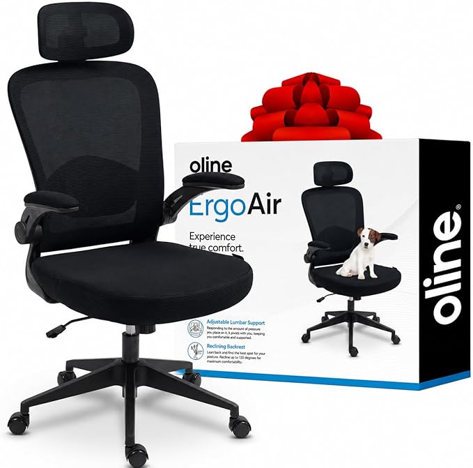 Oline ErgoAir Ergonomic Office Chair – Adjustable Lumbar Support, Flip-Up